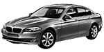 BMW F10 P20AE Fault Code